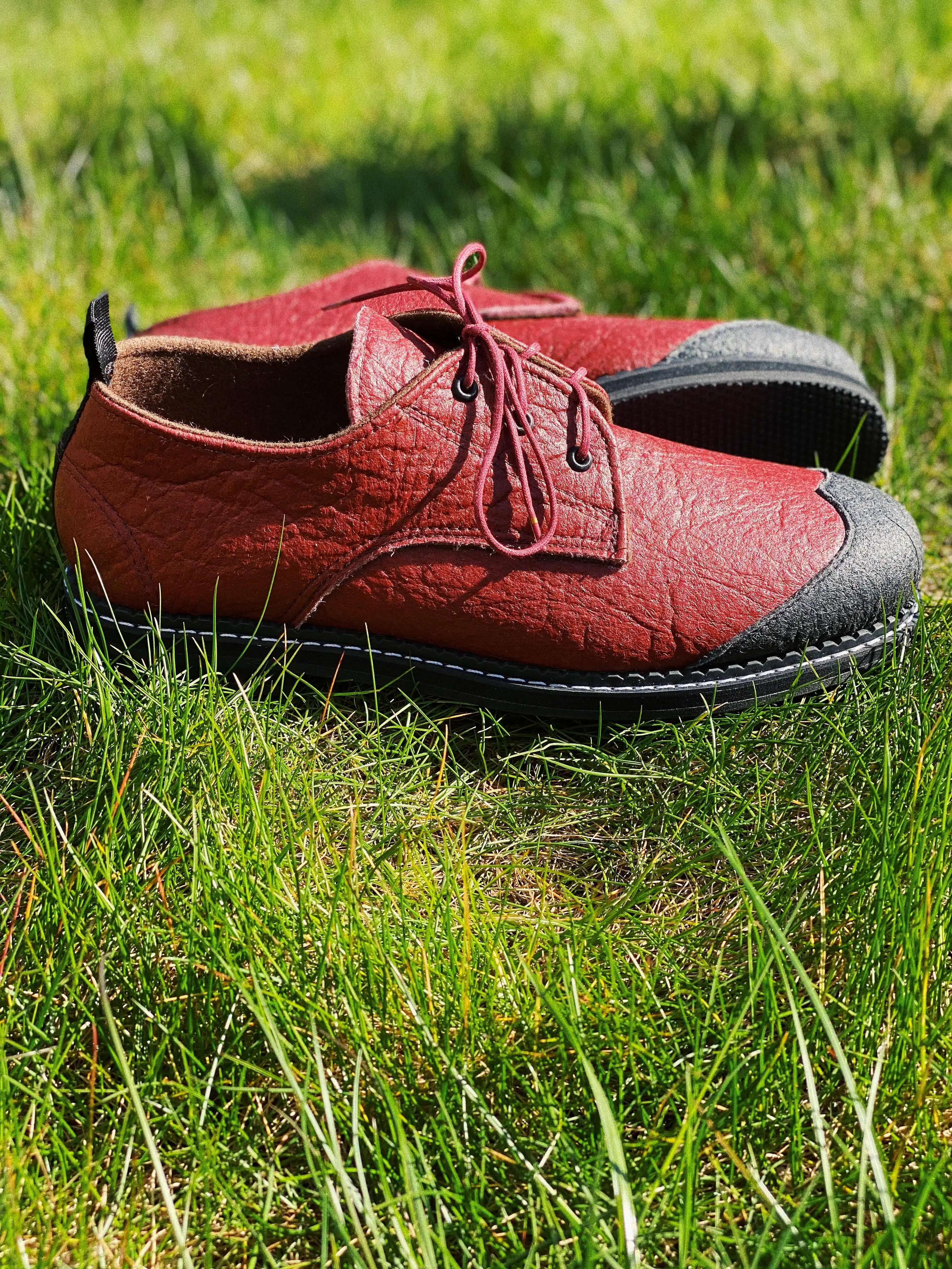 CANYON oxfords