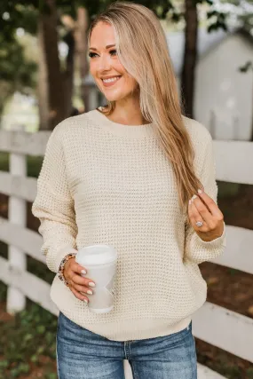 Captivating In Color Knit Sweater- Ivory