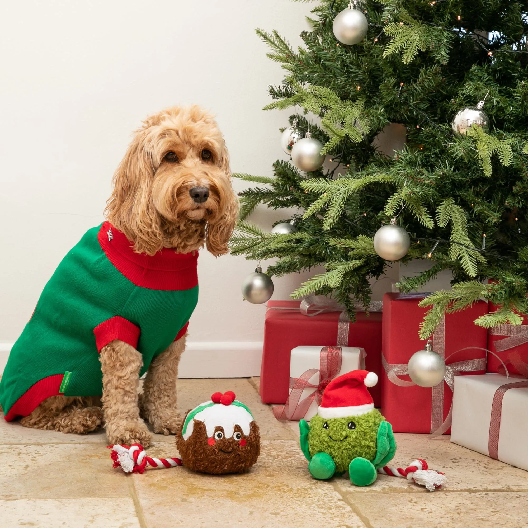 Christmas Pudding Dog Toy