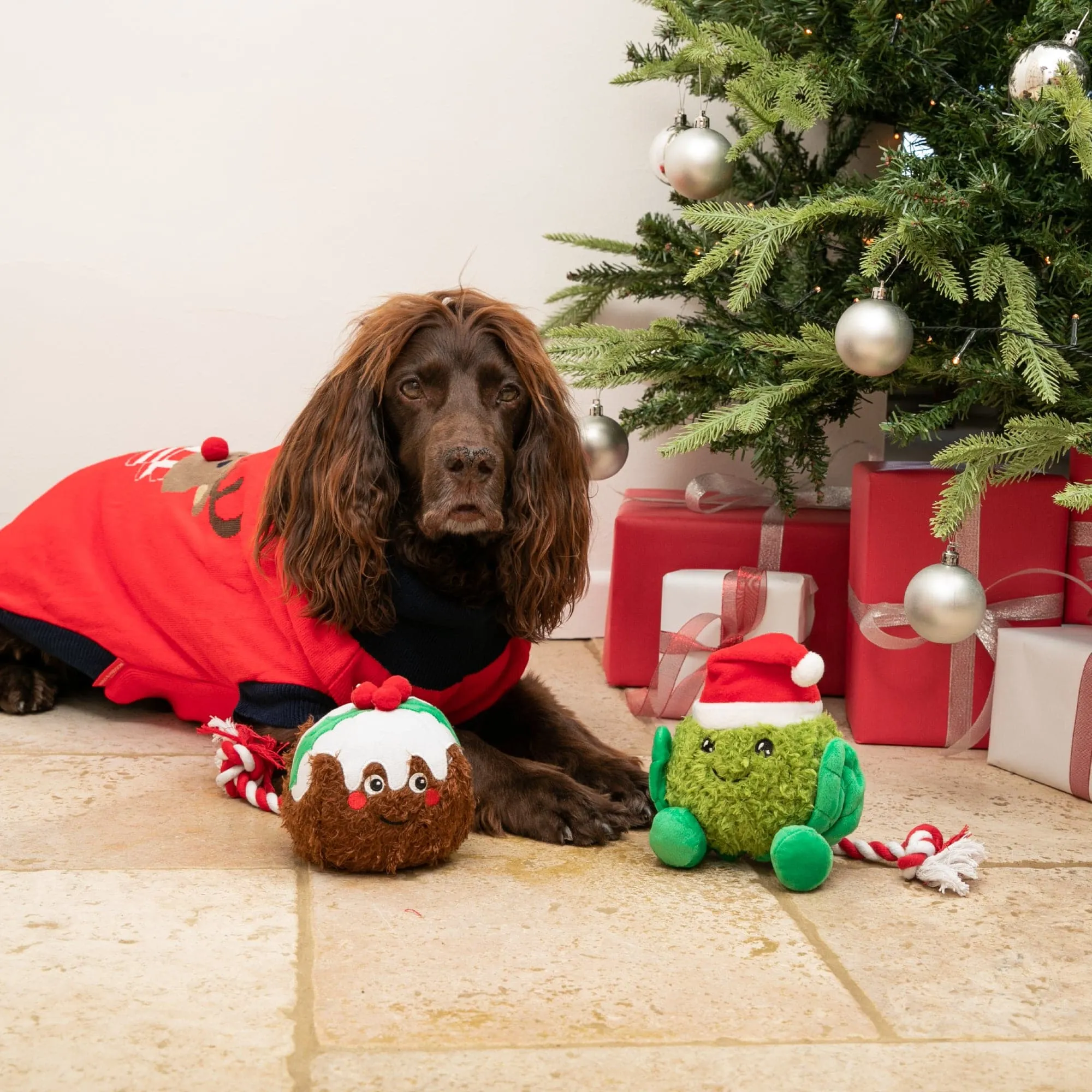 Christmas Pudding Dog Toy