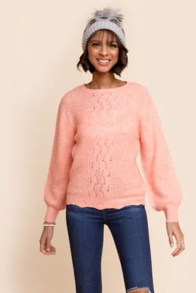 Courtney Pointelle Balloon  Sleeve Sweater