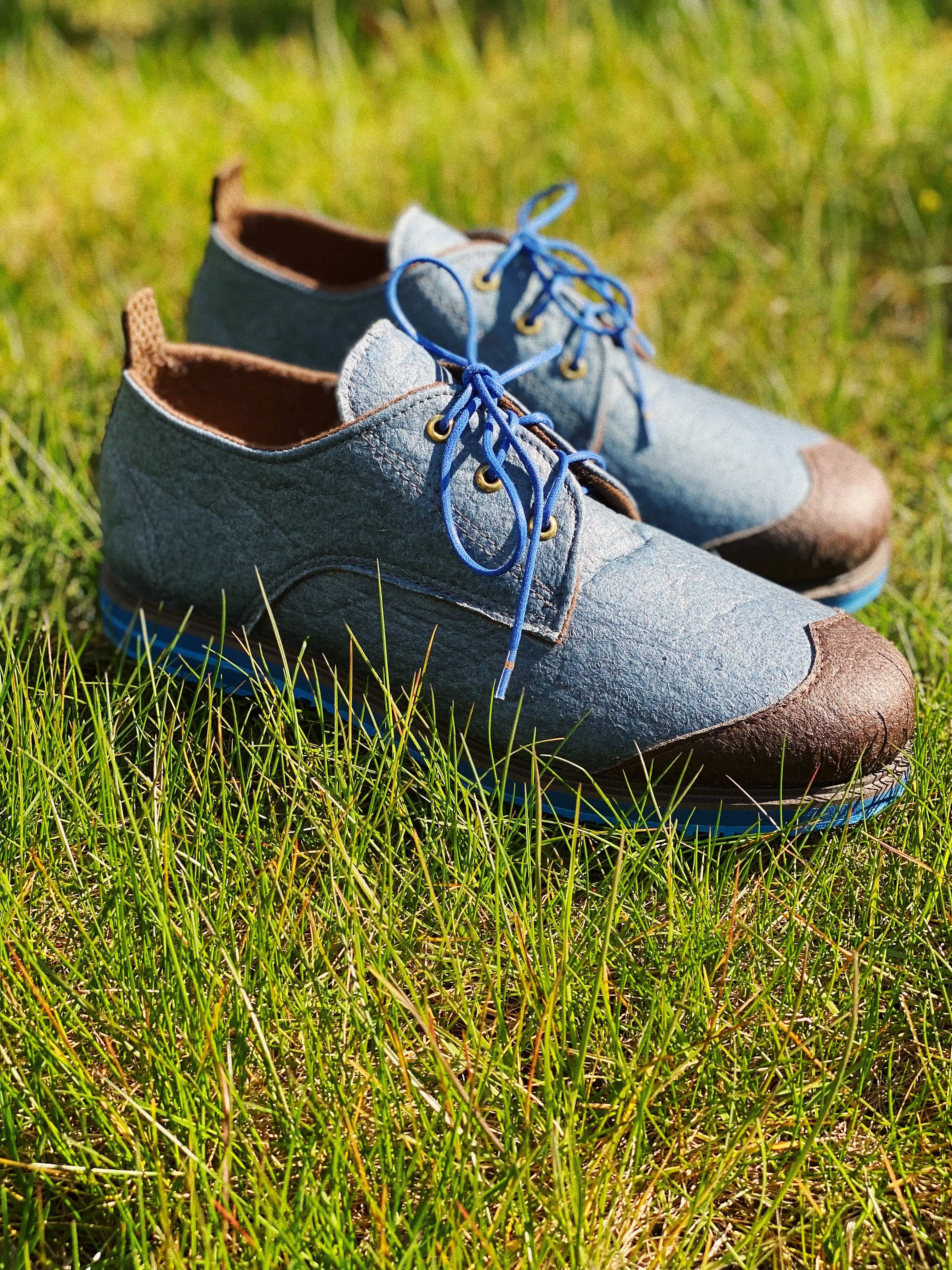 OCEAN oxfords