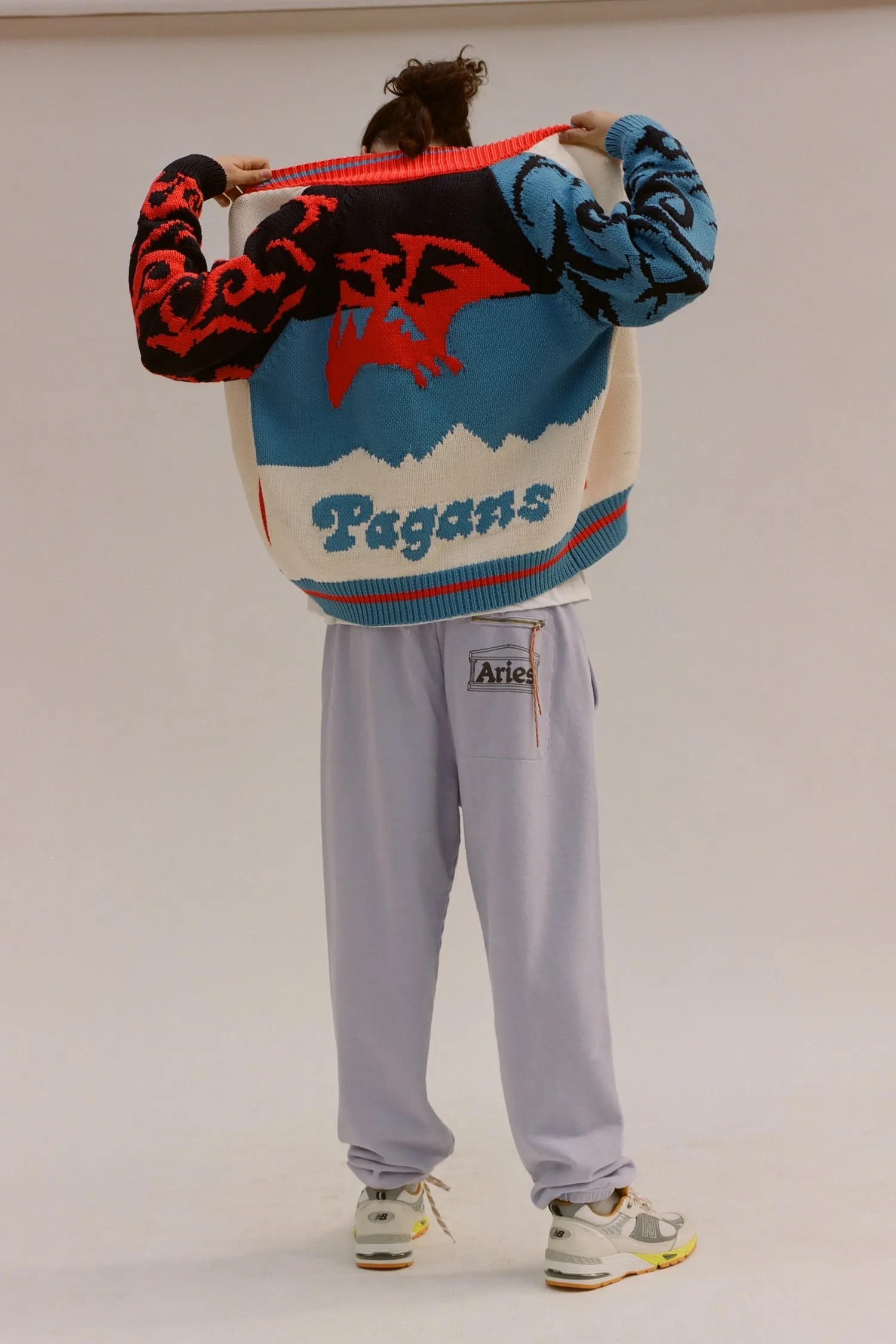 Pterodactyl Varsity Knit Jacket