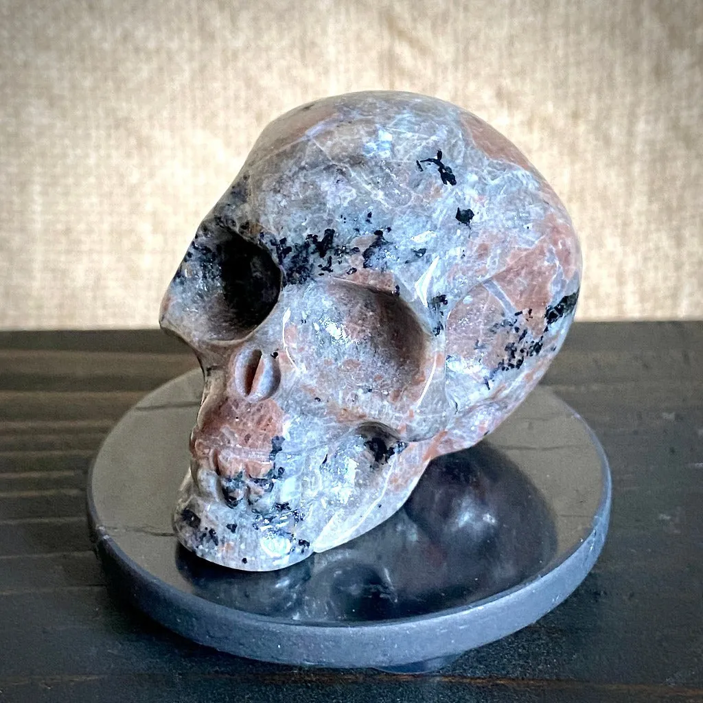 Small Yooperlite aka Glowalite Carved Skull on Polished Shungite Disk