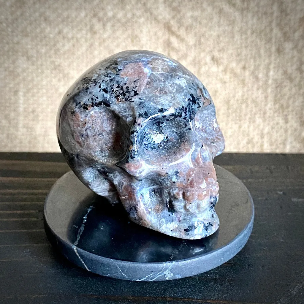 Small Yooperlite aka Glowalite Carved Skull on Polished Shungite Disk