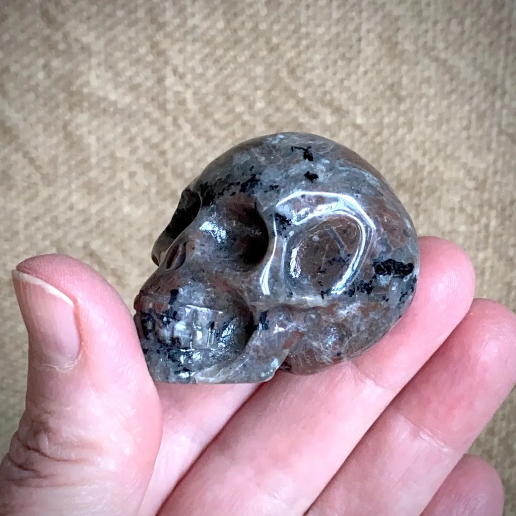 Small Yooperlite aka Glowalite Carved Skull on Polished Shungite Disk